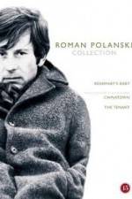 Watch The Fat and the Lean 9Movies