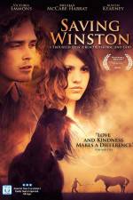 Watch Saving Winston 9Movies