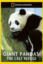 Watch National Geographic Giant Pandas The Last Refuge 9Movies