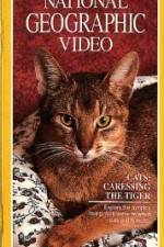 Watch Cats Caressing the Tiger 9Movies