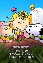 Watch Snoopy Presents: It's the Small Things, Charlie Brown (TV Special 2022) 9Movies