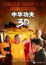 Watch Secrets of Shaolin with Jason Scott Lee 9Movies