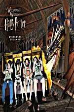 Watch Harry Potter and the Forbidden Journey 9Movies
