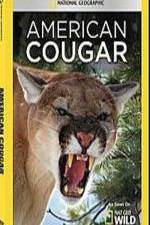 Watch National Geographic - American Cougar 9Movies