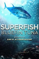 Watch Superfish Bluefin Tuna 9Movies