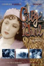 Watch Die Frau aus Chicago 9Movies