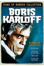 Watch The Boogie Man Will Get You 9Movies