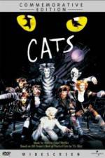 Watch Great Performances Cats 9Movies