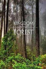 Watch National Geographic Kingdom of the Forest 9Movies