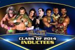 Watch WWE Hall of Fame 9Movies