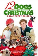Watch 12 Dogs of Christmas: Great Puppy Rescue 9Movies