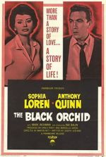 Watch The Black Orchid 9Movies