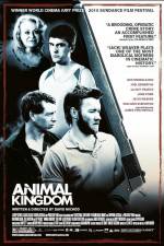 Watch Animal Kingdom 9Movies