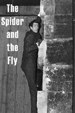 Watch The Spider and the Fly 9Movies