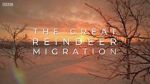 Watch All Aboard! The Great Reindeer Migration 9Movies