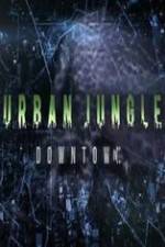 Watch National Geographic Wild Urban Jungle Downtown 9Movies