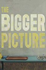 Watch The Bigger Picture 9Movies