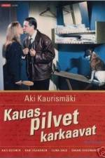 Watch Drifting Clouds 9Movies