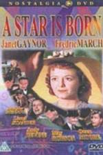 Watch A Star Is Born 9Movies