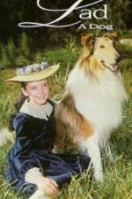Watch Lad A Dog 9Movies