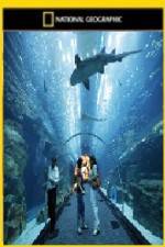 Watch National Geographic Megastructures Dubai Mega Mall 9Movies