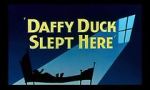 Watch Daffy Duck Slept Here (Short 1948) 9Movies