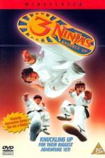 Watch 3 Ninjas Knuckle Up 9Movies