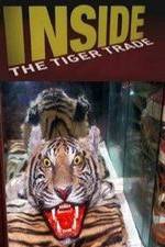 Watch Inside: The Tiger Trade 9Movies
