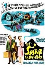 Watch The Spirit Is Willing 9Movies