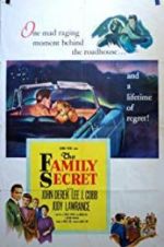 Watch The Family Secret 9Movies