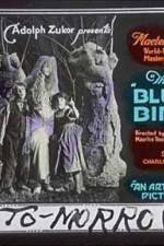 Watch The Blue Bird 9Movies