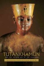 Watch Tutankhamun and the Golden Age of the Pharaohs 9Movies