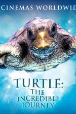 Watch Turtle The Incredible Journey 9Movies