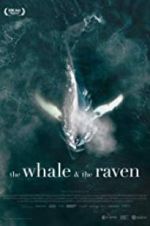 Watch The Whale and the Raven 9Movies