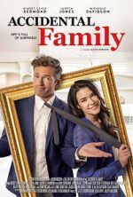 Watch Accidental Family 9Movies