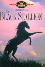 Watch The Black Stallion 9Movies