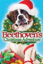 Watch Beethoven's Christmas Adventure 9Movies