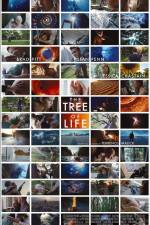Watch The Tree of Life 9Movies
