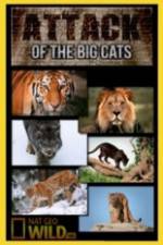 Watch National Geographic Attack Of The Big Cats 9Movies