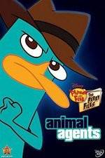 Watch Phineas And Ferb Animal Agents 9Movies
