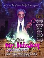 Watch The Mysterious Mr. Wizdom 9Movies