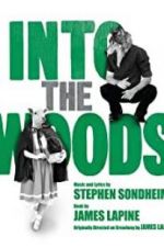Watch Into the Woods 9Movies