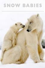 Watch Snow Babies 9Movies