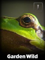 Watch Garden Wild! 9Movies