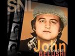 Watch Saturday Night Live: The Best of John Belushi 9Movies