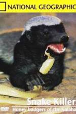 Watch National Geographic: Snake Killers Honey Badgers Of The Kalahari 9Movies