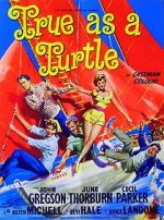 Watch True as a Turtle 9Movies