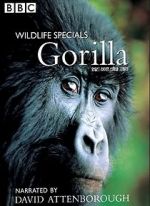 Watch Gorilla Revisited with David Attenborough 9Movies