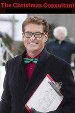 Watch The Christmas Consultant 9Movies