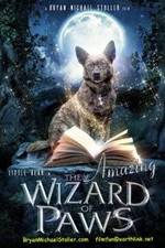 Watch The Amazing Wizard of Paws 9Movies
